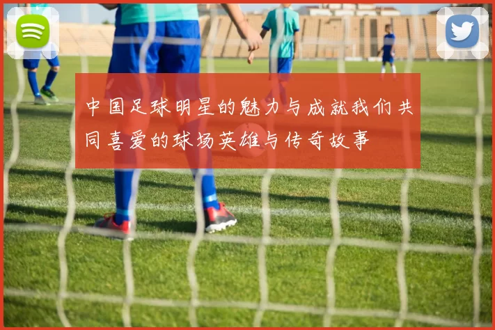 中国足球明星的魅力与成就我们共同喜爱的球场英雄与传奇故事