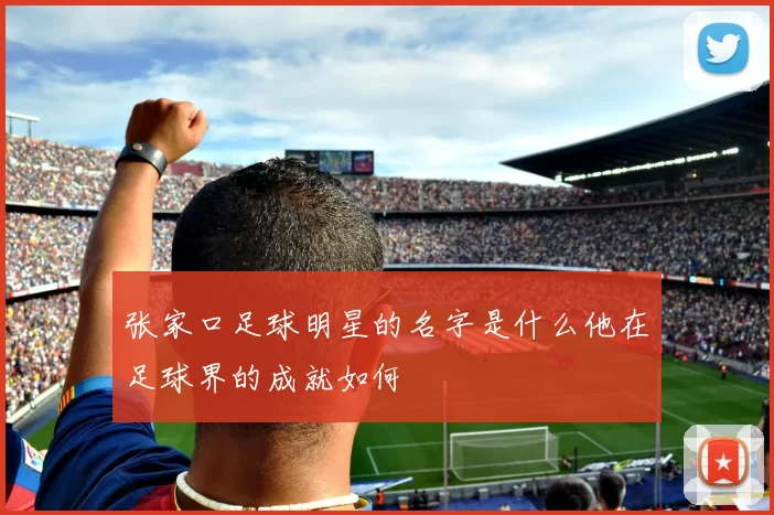 张家口足球明星的名字是什么他在足球界的成就如何