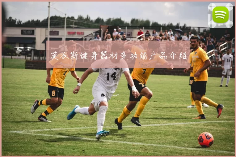 英派斯健身器材多功能产品介绍