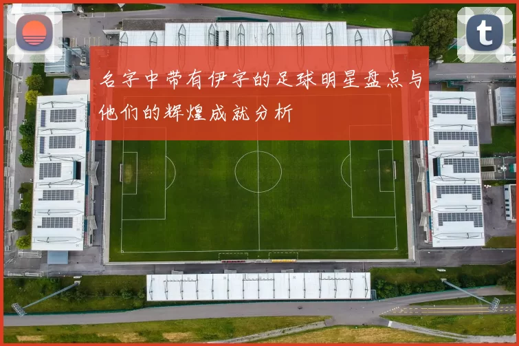 名字中带有伊字的足球明星盘点与他们的辉煌成就分析