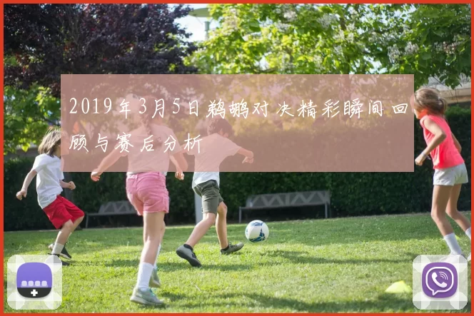 2019年3月5日鹈鹕对决精彩瞬间回顾与赛后分析
