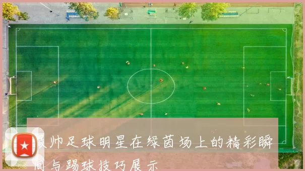最帅足球明星在绿茵场上的精彩瞬间与踢球技巧展示