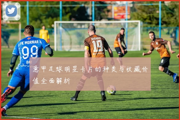 意甲足球明星卡片的种类与收藏价值全面解析