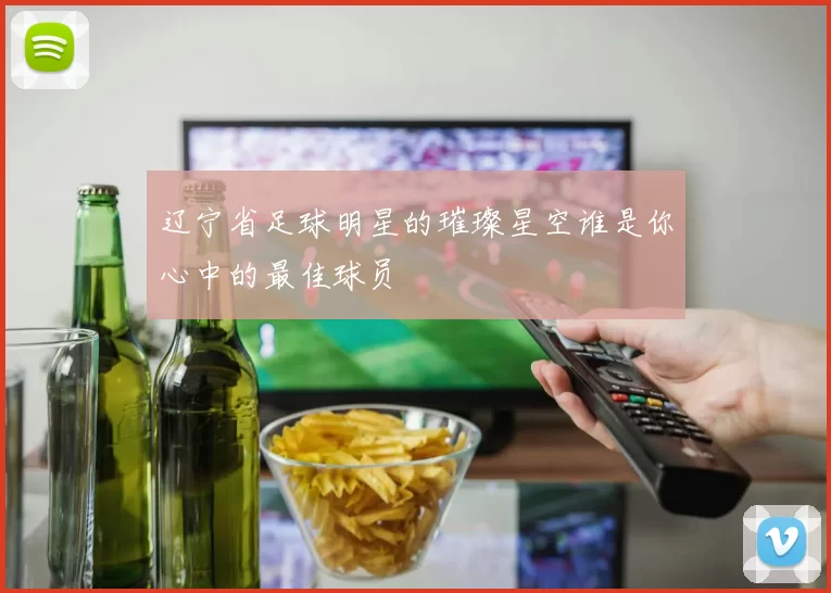 辽宁省足球明星的璀璨星空谁是你心中的最佳球员