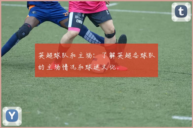 英超球队和主场：了解英超各球队的主场情况和球迷文化。