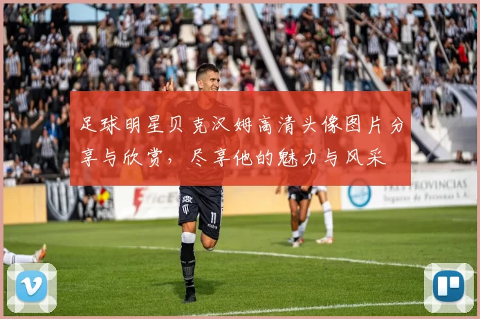 足球明星贝克汉姆高清头像图片分享与欣赏，尽享他的魅力与风采