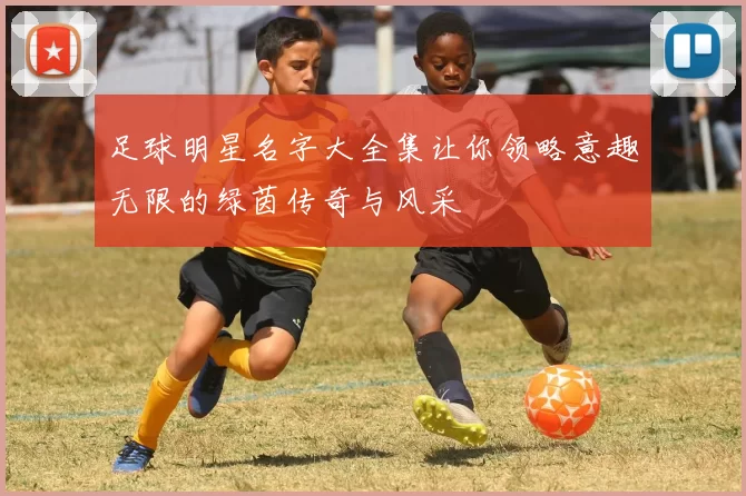 足球明星名字大全集让你领略意趣无限的绿茵传奇与风采