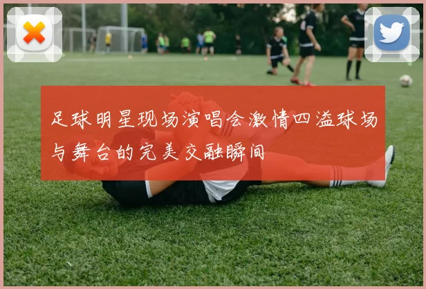 足球明星现场演唱会激情四溢球场与舞台的完美交融瞬间