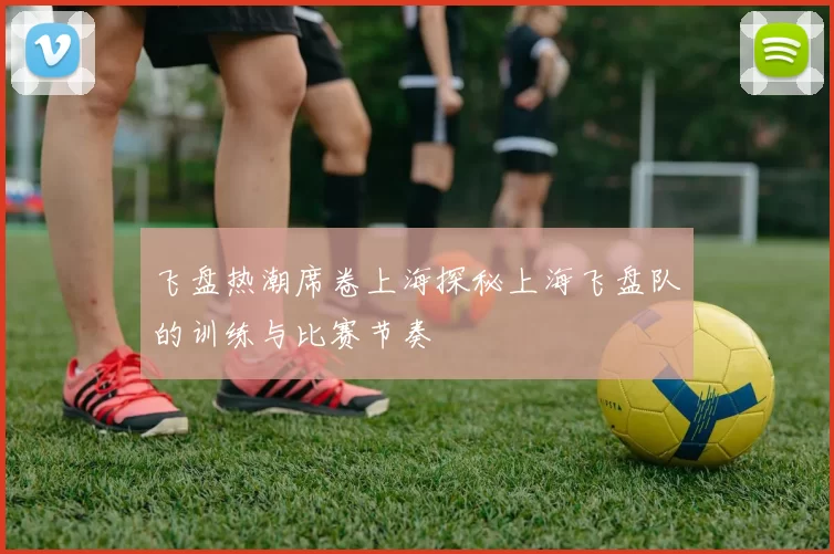 飞盘热潮席卷上海探秘上海飞盘队的训练与比赛节奏