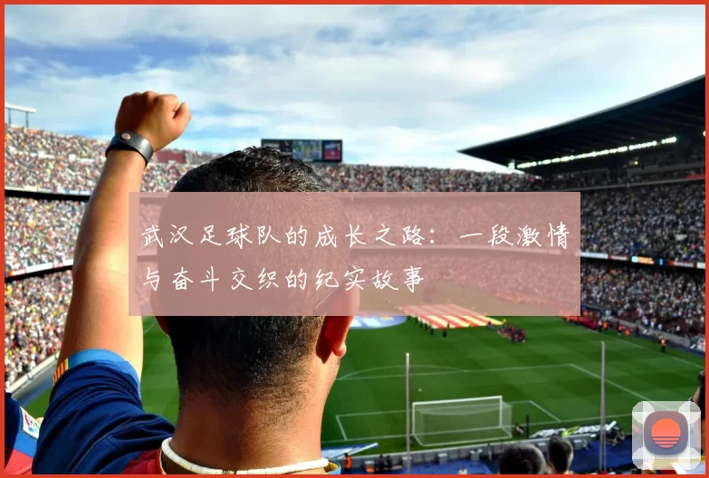 武汉足球队的成长之路：一段激情与奋斗交织的纪实故事