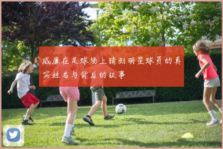威廉在足球场上猜测明星球员的真实姓名与背后的故事