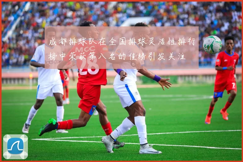 成都排球队在全国排球灵活性排行榜中荣获第八名的佳绩引发关注