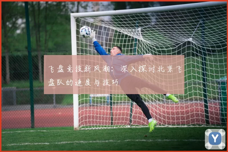 飞盘竞技新风潮：深入探讨北京飞盘队的速度与技巧