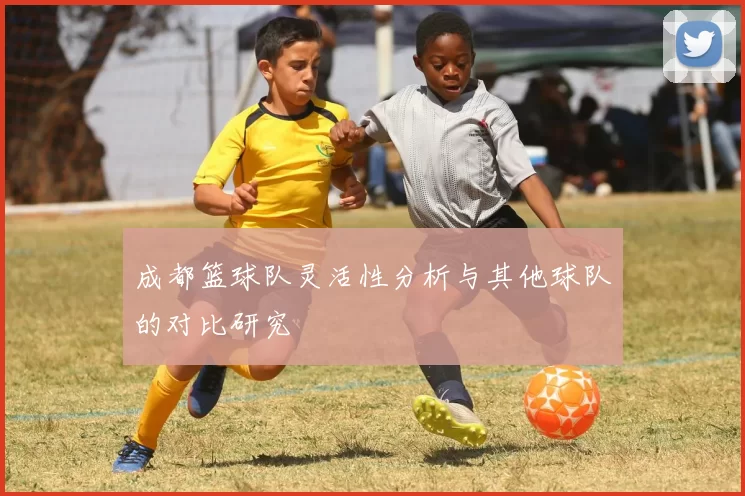 成都篮球队灵活性分析与其他球队的对比研究