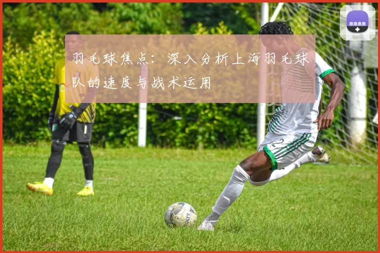 羽毛球焦点：深入分析上海羽毛球队的速度与战术运用