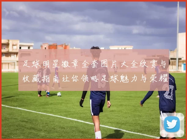 足球明星徽章全套图片大全欣赏与收藏指南让你领略足球魅力与荣耀