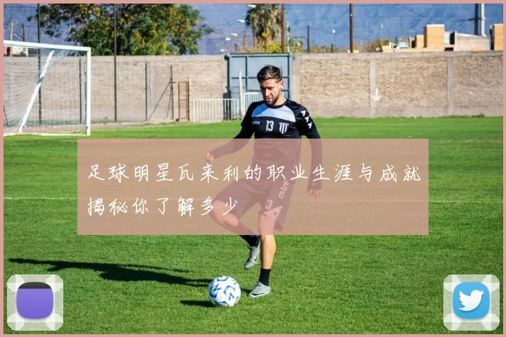 足球明星瓦来利的职业生涯与成就揭秘你了解多少
