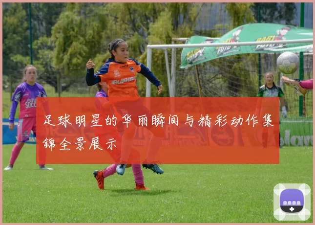 足球明星的华丽瞬间与精彩动作集锦全景展示