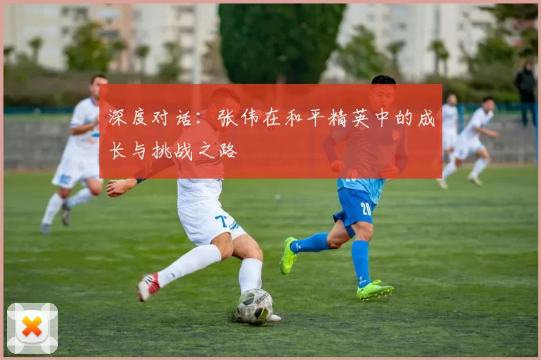 深度对话：张伟在和平精英中的成长与挑战之路