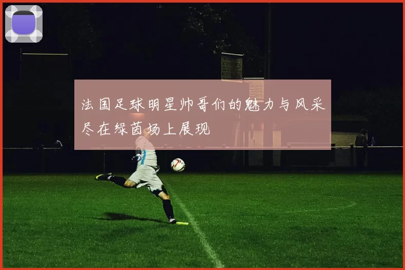 法国足球明星帅哥们的魅力与风采尽在绿茵场上展现