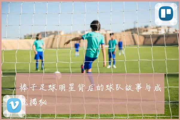 棒子足球明星背后的球队故事与成就揭秘