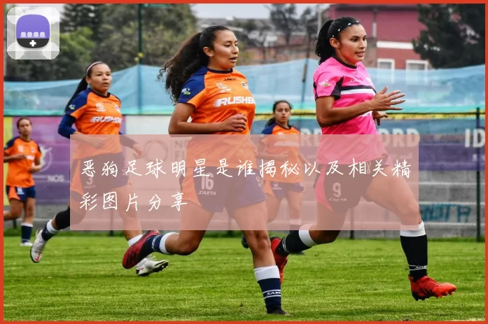 恶狗足球明星是谁揭秘以及相关精彩图片分享