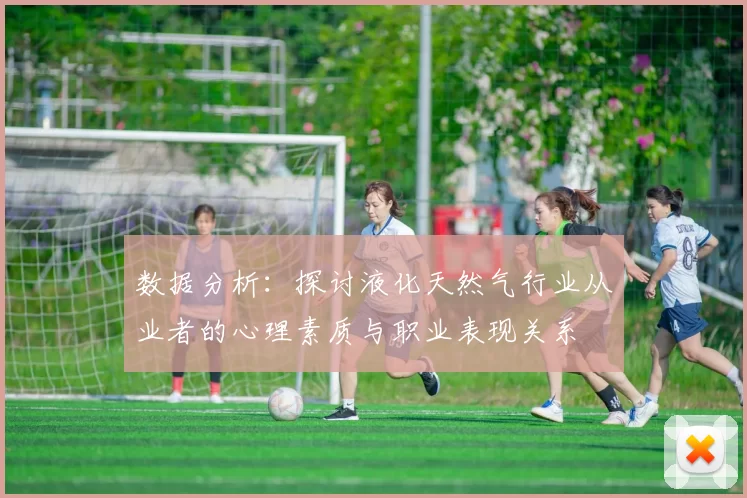 数据分析：探讨液化天然气行业从业者的心理素质与职业表现关系