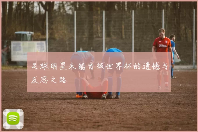足球明星未能晋级世界杯的遗憾与反思之路