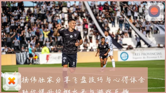 杨伟独家分享飞盘技巧与心得体会助你提升投掷水平与游戏乐趣