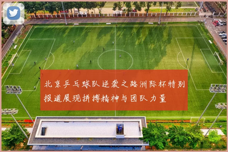 北京乒乓球队逆袭之路洲际杯特别报道展现拼搏精神与团队力量