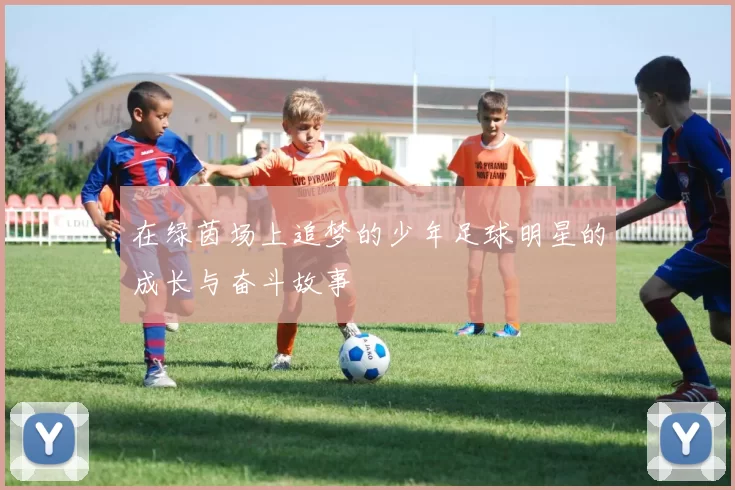 在绿茵场上追梦的少年足球明星的成长与奋斗故事