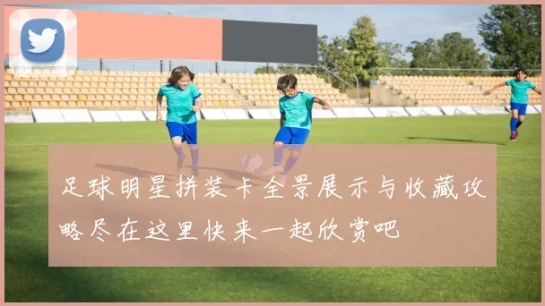 足球明星拼装卡全景展示与收藏攻略尽在这里快来一起欣赏吧