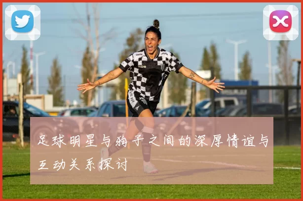 足球明星与狗子之间的深厚情谊与互动关系探讨