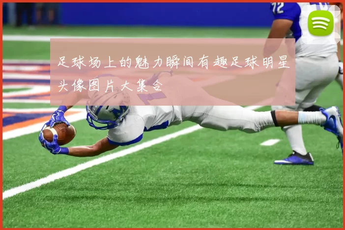 足球场上的魅力瞬间有趣足球明星头像图片大集合