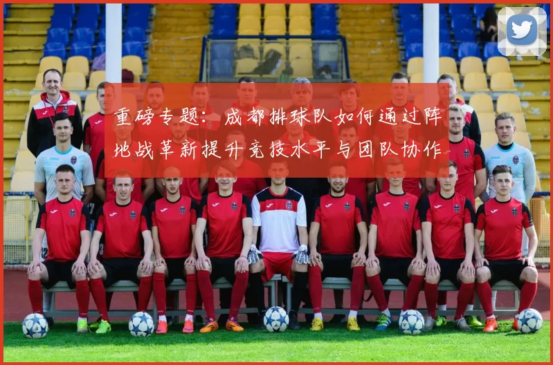重磅专题：成都排球队如何通过阵地战革新提升竞技水平与团队协作能力